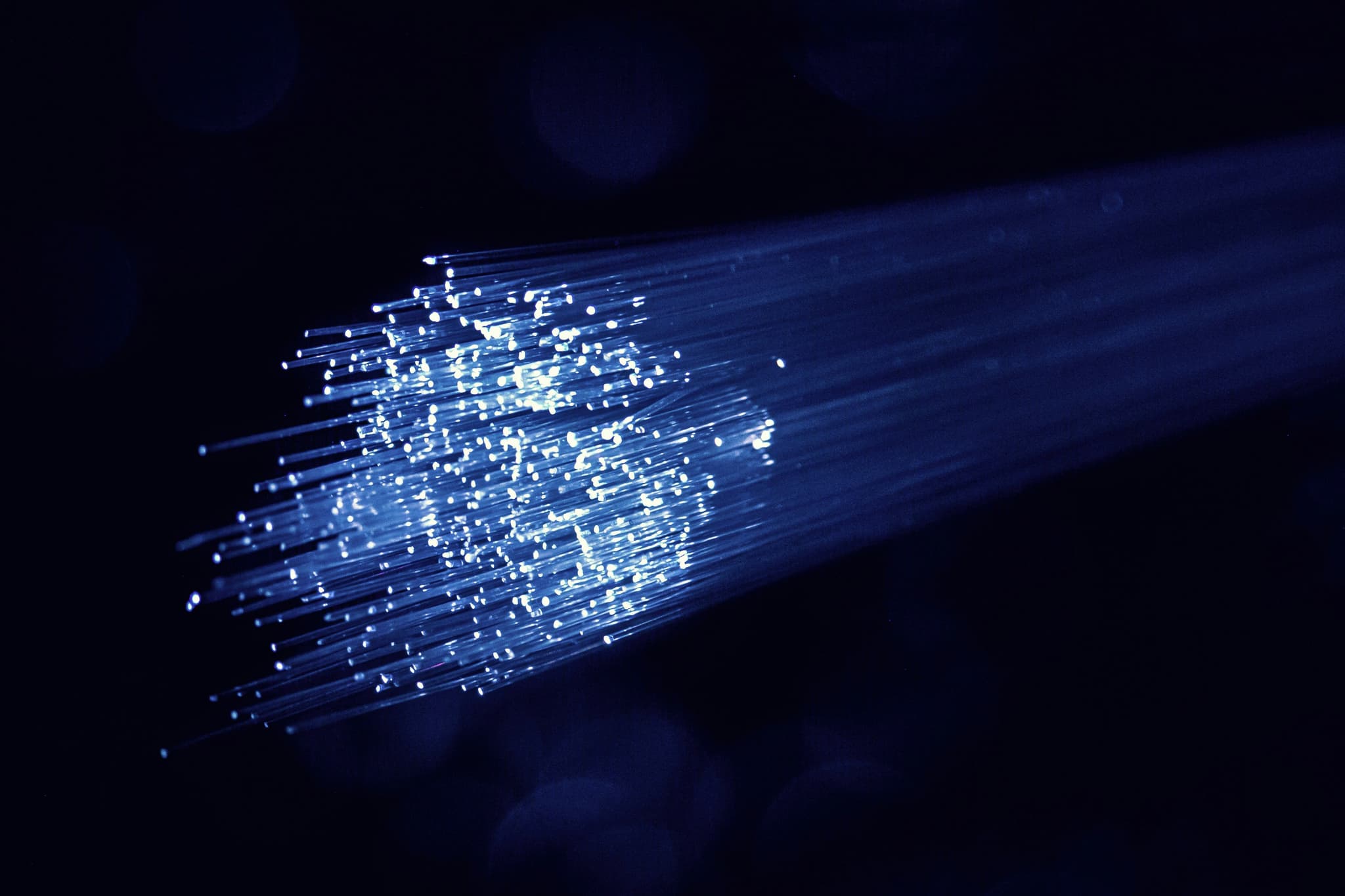 Fibre Network Operator